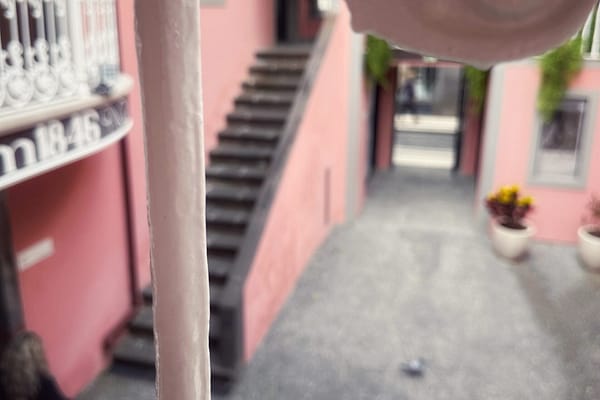 Tekemistä ja nähtävää Funchalissa